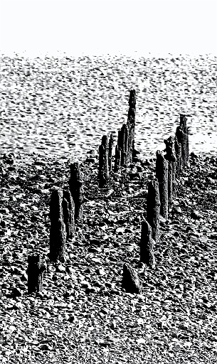 Remains of the jetty.jpg